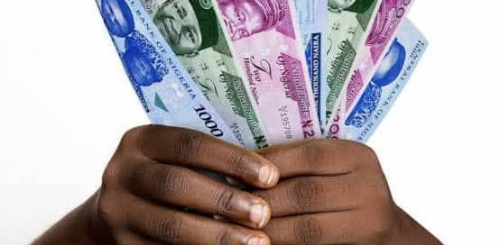 Hands clutching different denominations of naira
